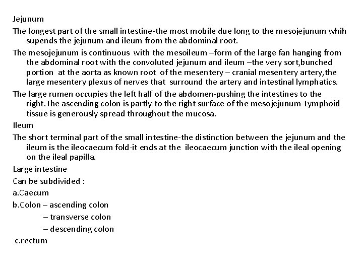 Jejunum The longest part of the small intestine-the most mobile due long to the
