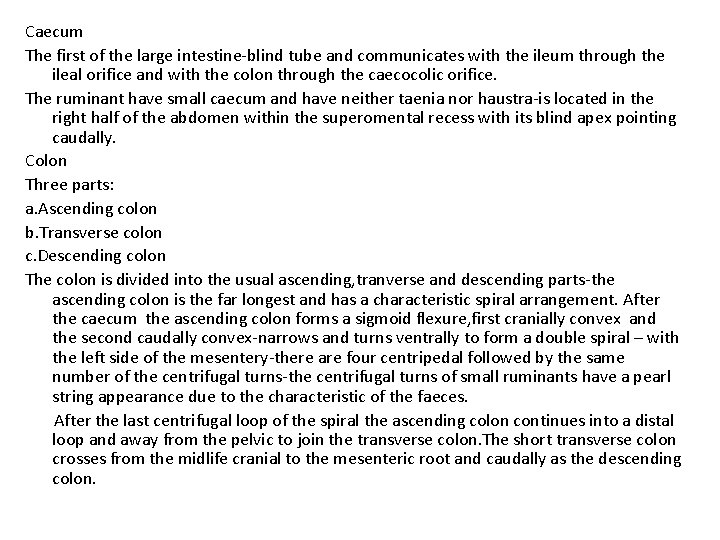 Caecum The first of the large intestine-blind tube and communicates with the ileum through