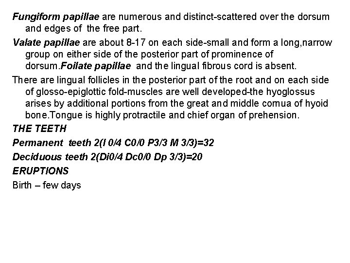 Fungiform papillae are numerous and distinct-scattered over the dorsum and edges of the free