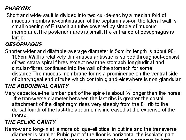 PHARYNX Short and wide-vault is divided into two cul-de-sac by a median fold of