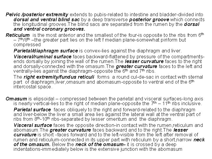 Pelvic /posterior extremity extends to pubis-related to intestine and bladder-divided into dorsal and ventral