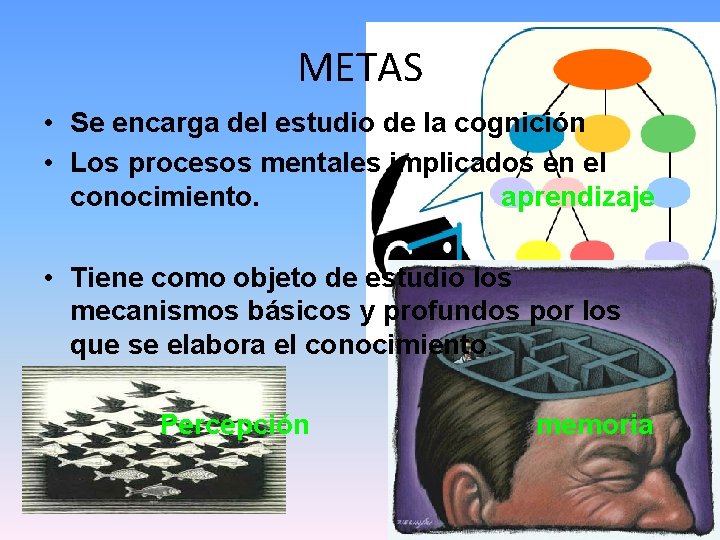 METAS • Se encarga del estudio de la cognición • Los procesos mentales implicados