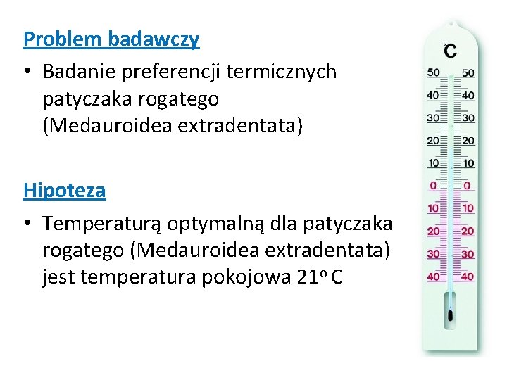 Problem badawczy • Badanie preferencji termicznych patyczaka rogatego (Medauroidea extradentata) Hipoteza • Temperaturą optymalną