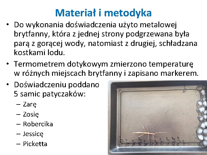 Materiał i metodyka • Do wykonania doświadczenia użyto metalowej brytfanny, która z jednej strony