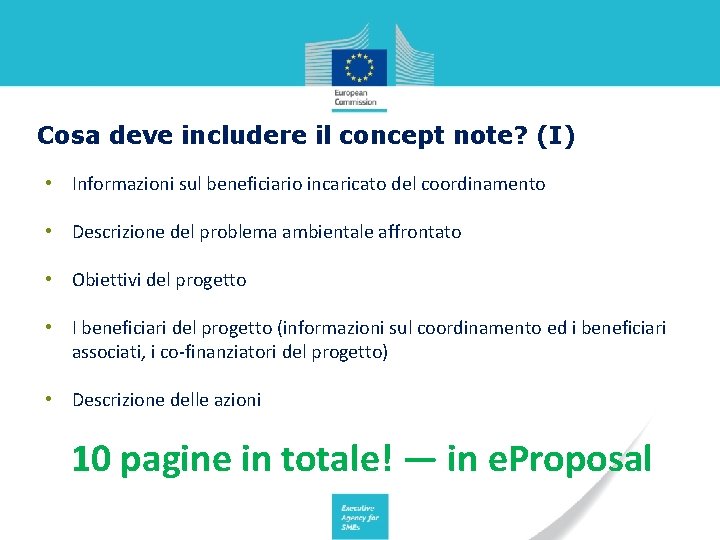 Cosa deve includere il concept note? (I) • Informazioni sul beneficiario incaricato del coordinamento