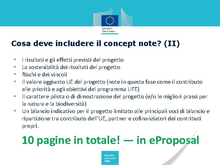 Cosa deve includere il concept note? (II) I risultati e gli effetti previsti del