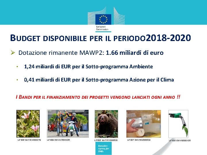 BUDGET DISPONIBILE PER IL PERIODO 2018 -2020 Ø Dotazione rimanente MAWP 2: 1. 66