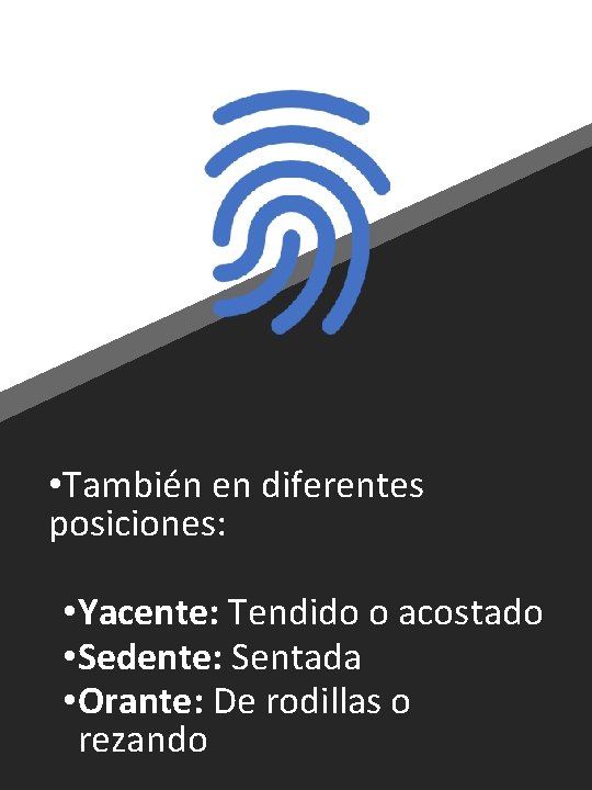  • También en diferentes posiciones: • Yacente: Tendido o acostado • Sedente: Sentada