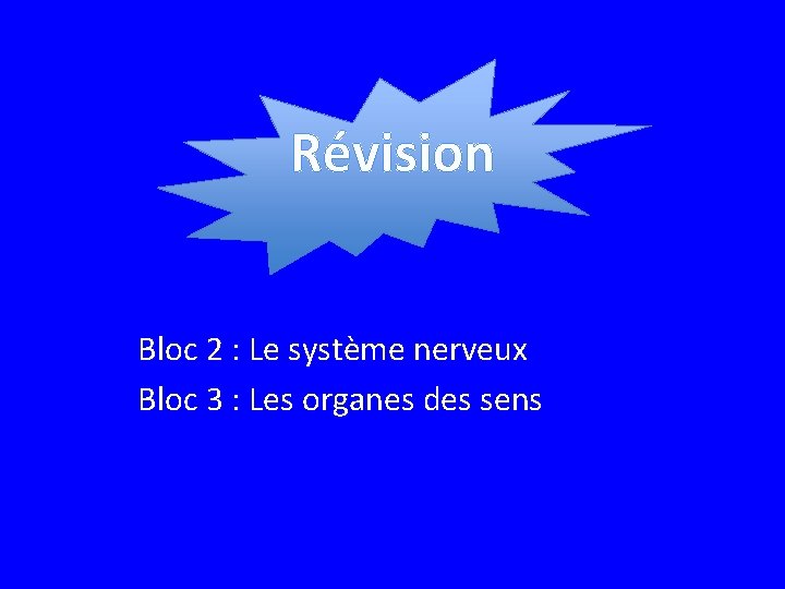 Révision Bloc 2 : Le système nerveux Bloc 3 : Les organes des sens