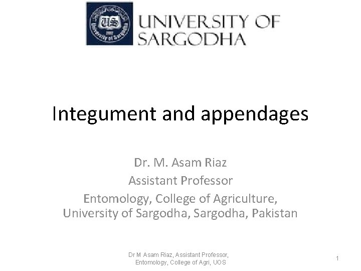 Integument and appendages Dr. M. Asam Riaz Assistant Professor Entomology, College of Agriculture, University Integument and appendages Dr. M. Asam Riaz Assistant Professor Entomology, College of Agriculture, University