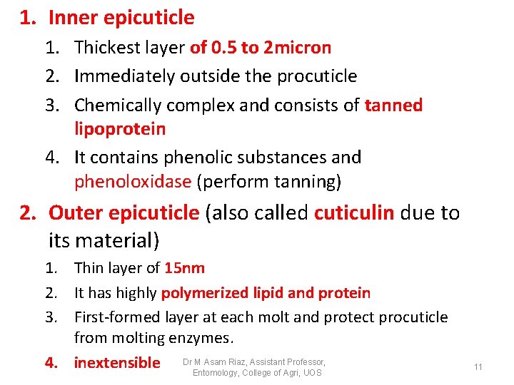 1. Inner epicuticle 1. Thickest layer of 0. 5 to 2 micron 2. Immediately 1. Inner epicuticle 1. Thickest layer of 0. 5 to 2 micron 2. Immediately