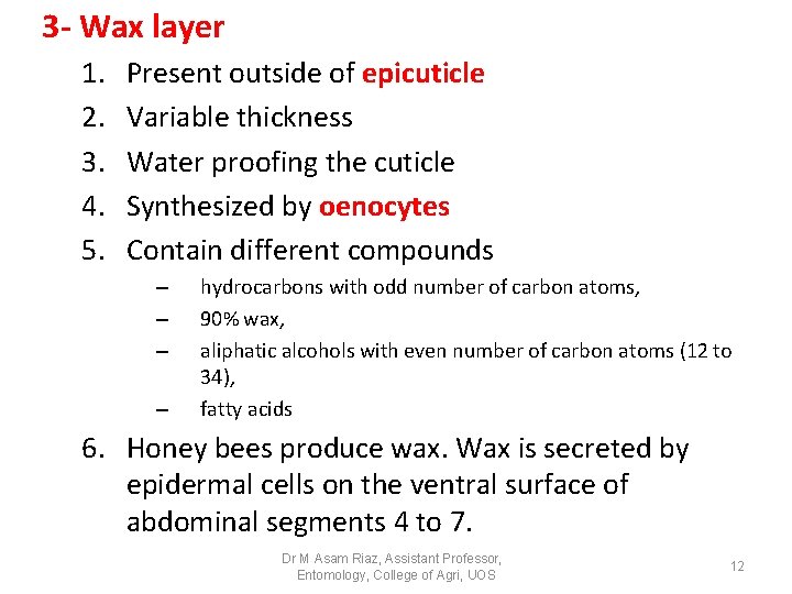 3 - Wax layer 1. 2. 3. 4. 5. Present outside of epicuticle Variable 3 - Wax layer 1. 2. 3. 4. 5. Present outside of epicuticle Variable