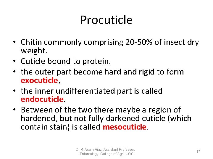 Procuticle • Chitin commonly comprising 20 -50% of insect dry weight. • Cuticle bound Procuticle • Chitin commonly comprising 20 -50% of insect dry weight. • Cuticle bound