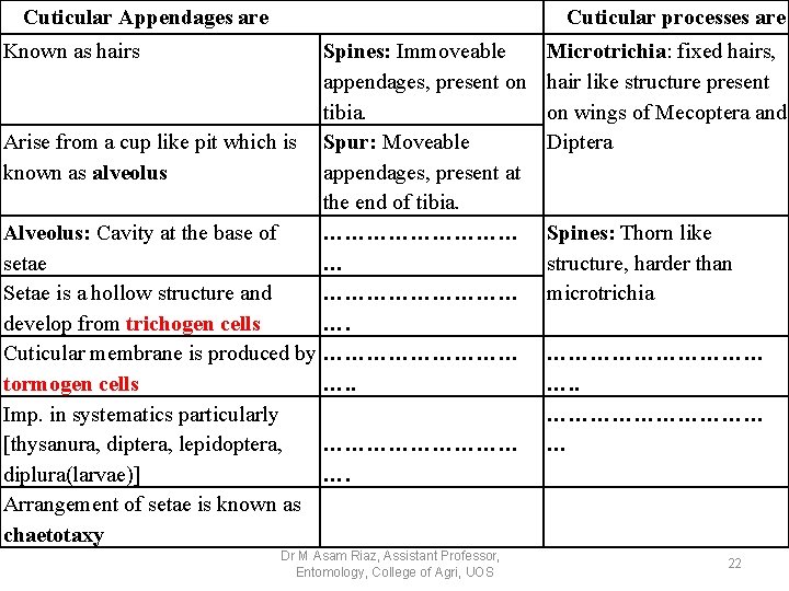 Cuticular Appendages are Cuticular processes are Known as hairs Spines: Immoveable appendages, present on Cuticular Appendages are Cuticular processes are Known as hairs Spines: Immoveable appendages, present on