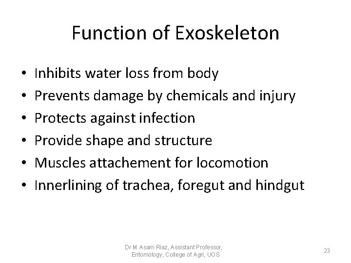 Function of Exoskeleton • • • Inhibits water loss from body Prevents damage by Function of Exoskeleton • • • Inhibits water loss from body Prevents damage by