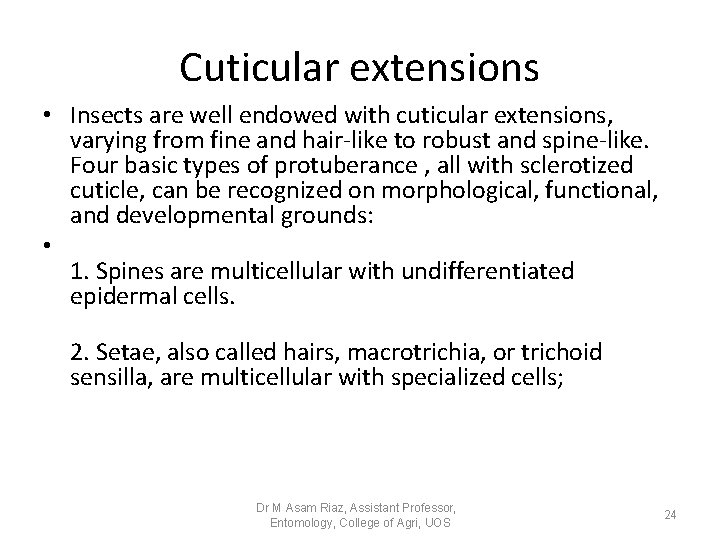 Cuticular extensions • Insects are well endowed with cuticular extensions, varying from fine and Cuticular extensions • Insects are well endowed with cuticular extensions, varying from fine and