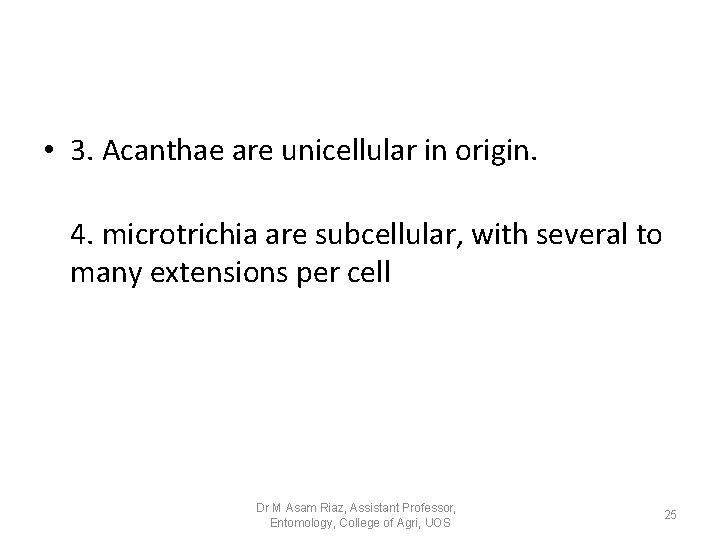 • 3. Acanthae are unicellular in origin. 4. microtrichia are subcellular, with several • 3. Acanthae are unicellular in origin. 4. microtrichia are subcellular, with several