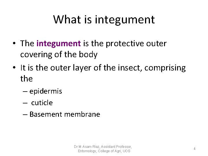 What is integument • The integument is the protective outer covering of the body What is integument • The integument is the protective outer covering of the body