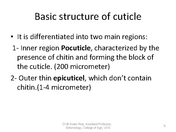 Basic structure of cuticle • It is differentiated into two main regions: 1 - Basic structure of cuticle • It is differentiated into two main regions: 1 -
