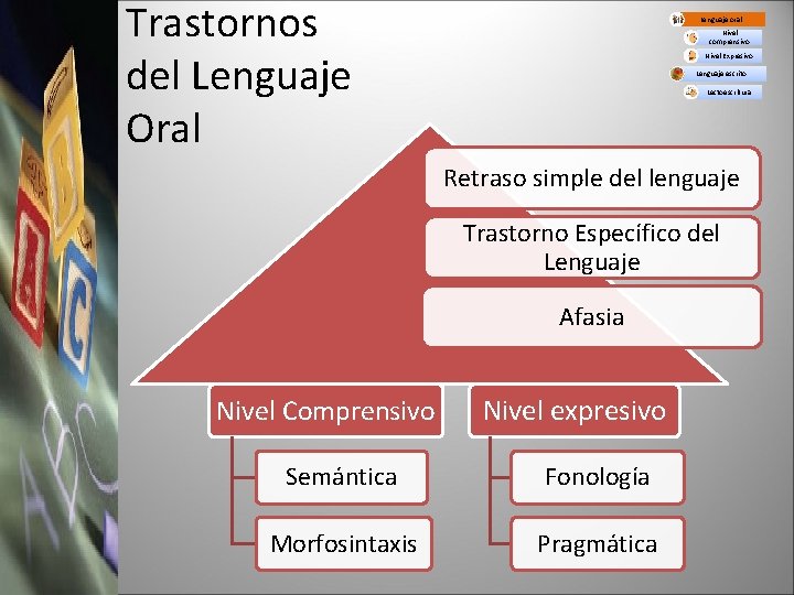 Trastornos del Lenguaje Oral Lenguaje oral Nivel comprensivo Nivel Expresivo Lenguaje escrito Lectoescritura Retraso
