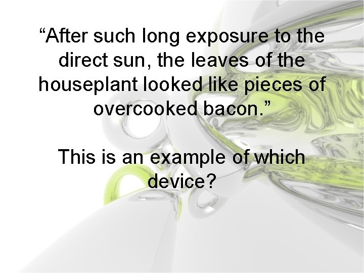 “After such long exposure to the direct sun, the leaves of the houseplant looked