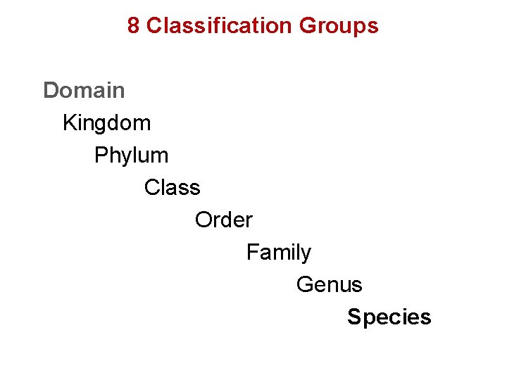 8 Classification Groups Domain Kingdom Phylum Class Order Family Genus Species 