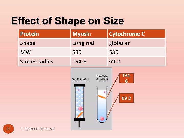 Effect of Shape on Size Protein Shape MW Stokes radius Myosin Long rod 530