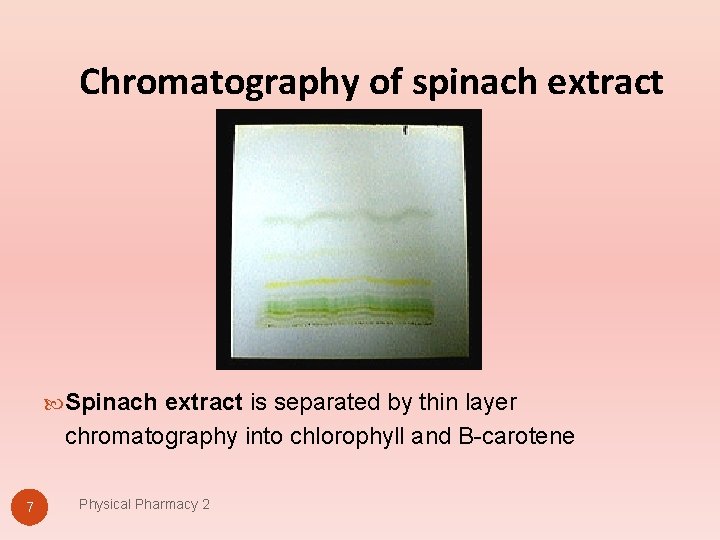 Chromatography of spinach extract Spinach extract is separated by thin layer chromatography into chlorophyll