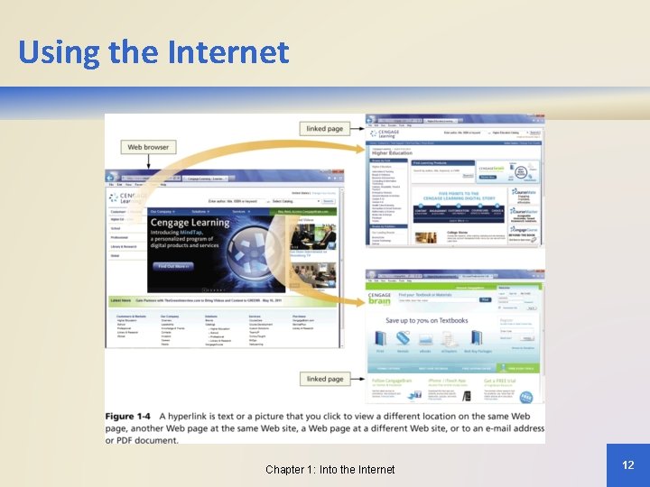 Using the Internet Chapter 1: Into the Internet 12 