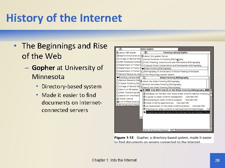 History of the Internet • The Beginnings and Rise of the Web – Gopher