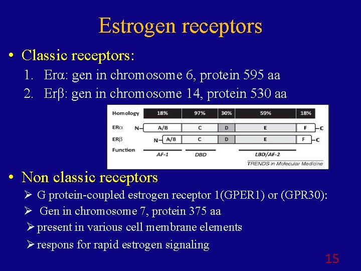 Estrogen receptors • Classic receptors: 1. Erα: gen in chromosome 6, protein 595 aa