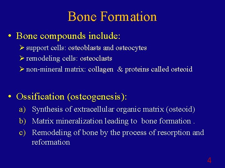 Bone Formation • Bone compounds include: Ø support cells: osteoblasts and osteocytes Ø remodeling