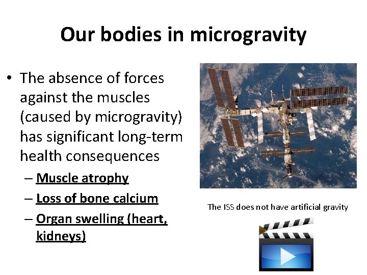 Our bodies in microgravity • The absence of forces against the muscles (caused by