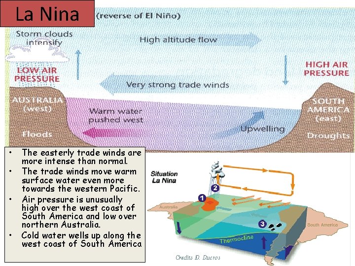 La Nina • • The easterly trade winds are more intense than normal. The La Nina • • The easterly trade winds are more intense than normal. The