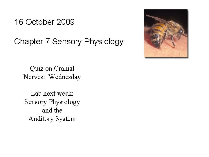 16 October 2009 Chapter 7 Sensory Physiology Quiz on Cranial Nerves: Wednesday Lab next