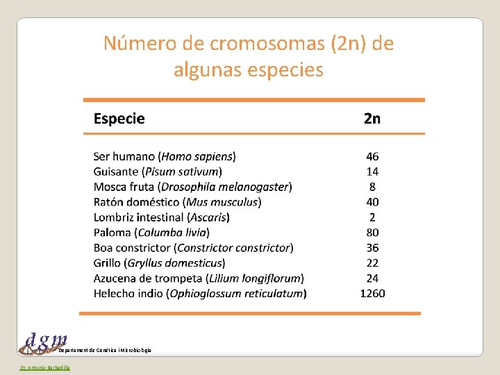 Número de cromosomas (2 n) de algunas especies Departament de Genètica i Microbiologia Dr.