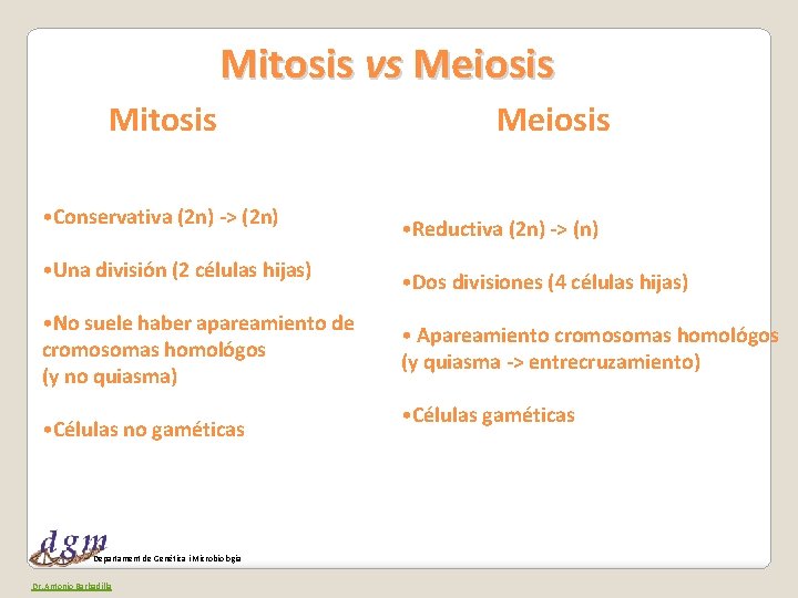 Mitosis vs Meiosis Mitosis • Conservativa (2 n) -> (2 n) • Una división
