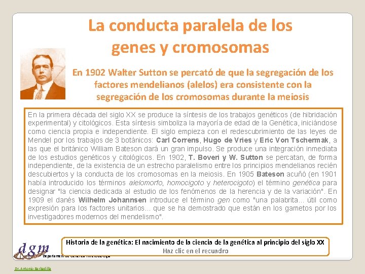 La conducta paralela de los genes y cromosomas En 1902 Walter Sutton se percató