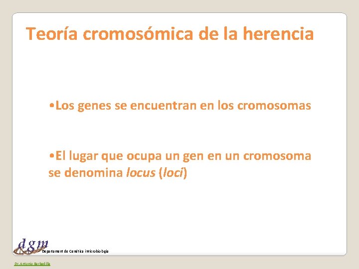 Teoría cromosómica de la herencia • Los genes se encuentran en los cromosomas •