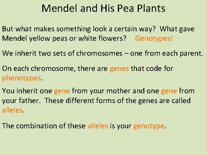 Mendel and His Pea Plants But what makes something look a certain way? What