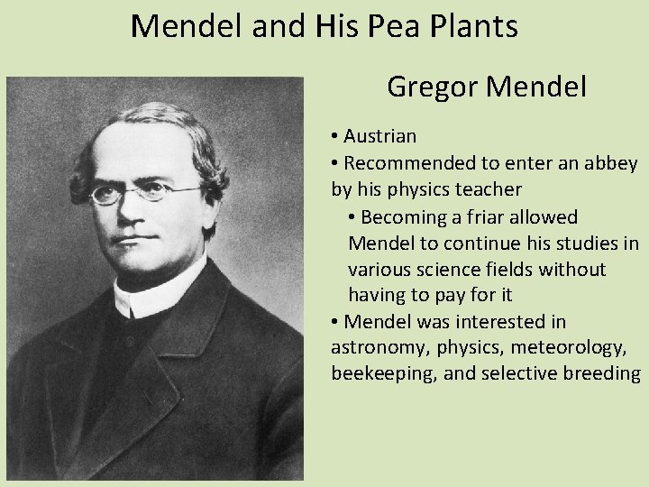 Mendel and His Pea Plants Gregor Mendel • Austrian • Recommended to enter an