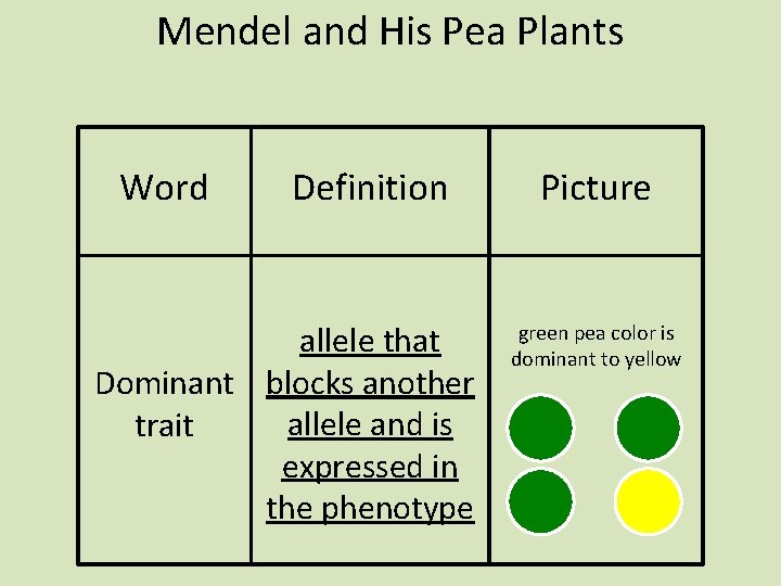 Mendel and His Pea Plants Word Definition allele that Dominant blocks another allele and