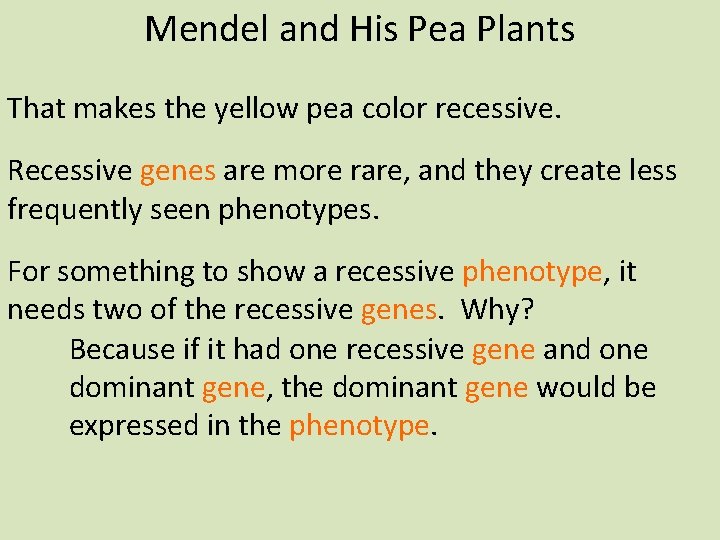 Mendel and His Pea Plants That makes the yellow pea color recessive. Recessive genes