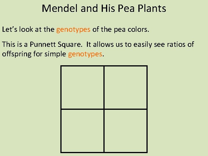 Mendel and His Pea Plants Let’s look at the genotypes of the pea colors.