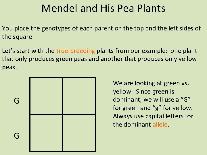 Mendel and His Pea Plants You place the genotypes of each parent on the