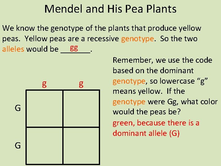 Mendel and His Pea Plants We know the genotype of the plants that produce