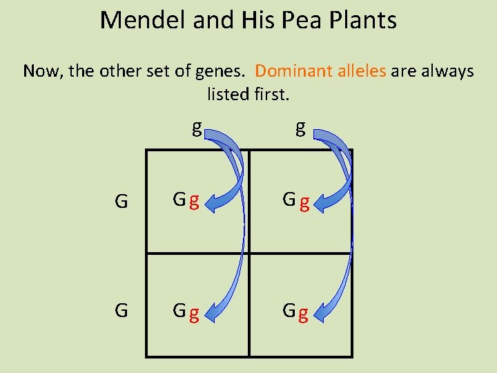 Mendel and His Pea Plants Now, the other set of genes. Dominant alleles are