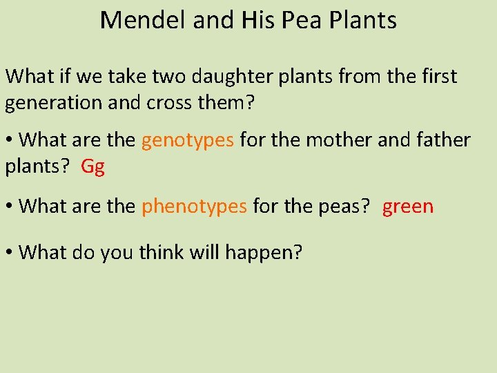 Mendel and His Pea Plants What if we take two daughter plants from the