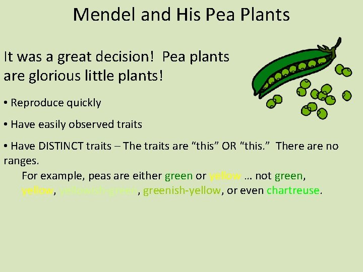 Mendel and His Pea Plants It was a great decision! Pea plants are glorious