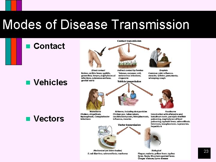 Modes of Disease Transmission n Contact n Vehicles n Vectors 23 